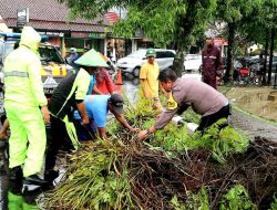 Polsek Purbalingga Dibantu Warga Evakuasi Pohon Tumbang