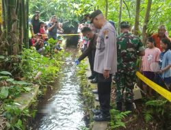 Mayat Bayi Ditemukan di Saluran Irigasi Desa Karangnangka Purbalingga