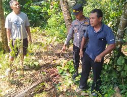 Penderes Nira Meninggal Jatuh dari Pohon Kelapa di Bukateja