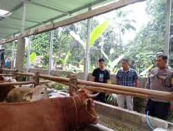 Sambangi Peternakan Sapi, Polsek Bojongsari Imbau Waspada Antraks