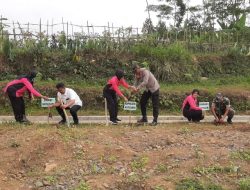 Polsek Kutasari Tanam 45 Pohon di Desa Karangcegak