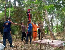 Kejang Saat Panjat Pohon Kelapa, Warga Purbalingga Meninggal Dunia