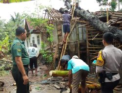 Hujan Deras, Pohon Tumbang Timpa Rumah di Kejobong