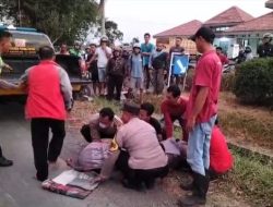 Bus Serempet Sepeda Motor di Bukateja, Pembonceng Meninggal Dunia