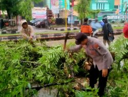 Polisi Bantu Evakuasi Pohon Tumbang Menutup Jalan di Purbalingga