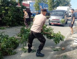 Polisi Bantu Evakuasi Pohon Tumbang Terseret Truk Kontainer di Kalimanah