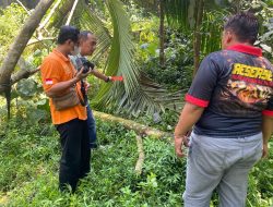 Jatuh dari Pohon, Warga Bojongsari Meninggal Dunia