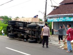 Truk Bermuatan Kayu Lapis Terguling di Mrebet