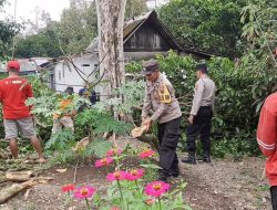 Polisi Bantu Evakuasi Pohon Timpa Rumah di Kutasari