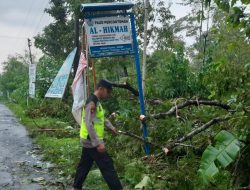 Hujan Deras Sebabkan Pohon Tumbang Tutup Jalan di Kutasari