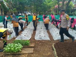 Polsek Kejobong Bersama Bhayangkari dan Warga Tanam Sayuran Dukung Ketahanan Pangan