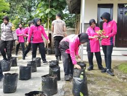 Polsek Kalimanah dan Bhayangkari Olahraga Bersama dan Tanam Sayuran