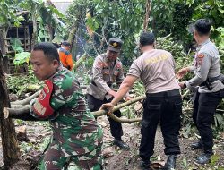 Polres PurbaIingga Terjunkan 60 Personel Kerja Bakti di Lokasi Bencana Angin Kencang