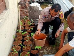 Dukung Ketahanan Pangan, Polsek Purbalingga Tanam Sayuran di Sekitar Kantor