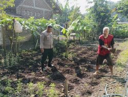 Bhabinkamtibmas Polsek Kalimanah Bersama Warga Manfaatkan Lahan untuk Ketahanan Pangan