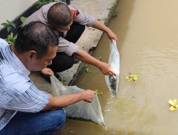 Dukung Program Ketahanan Pangan, Polsek Padamara Tebar Benih Ikan dan Tanam Sayuran