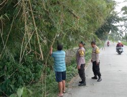 Polisi Polsek Bukateja Bersihkan Pohon Bambu Mengganggu Jalan