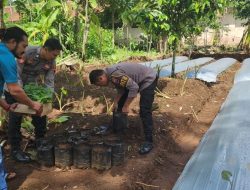 Polsek Kutasari Olah Lahan Kering untuk Dukung Ketahanan Pangan