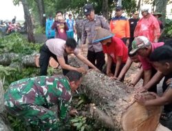 Hujan Angin Landa Kemangkon, Polisi Diterjunkan Bantu Evakuasi