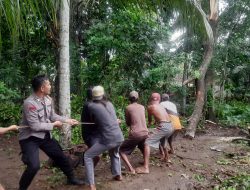 Pohon Tumbang Timpa Rumah di Kemangkon, Polisi Bantu Evakuasi