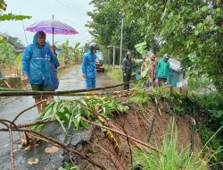 Hujan Deras Sebabkan Jalan Longsor di Bobotsari