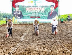 Upaya Wujudkan Ketahanan Pangan Nasional, Polda Jateng Tanam Bibit Jagung di 4.906 Hektar Lahan Pertanian