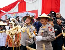 Irwasum Polri Pimpin Panen Jagung Serentak di Madiun,Wujudkan Astacita