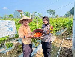 Brigpol Sufiana Maya Gerakkan Warga Wujudkan Ketahanan Pangan Mandiri