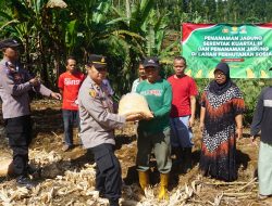 Kapolsek Mrebet Pimpin Penanaman Jagung Serentak di Bukit Mertelu