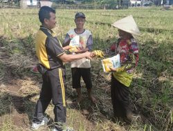 Polsek Kalimanah Beri Bantuan Bibit Jagung kepada Petani Desa Babakan