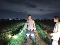 Petani di Kemangkon Tersambar Petir Saat Menuju Sawah