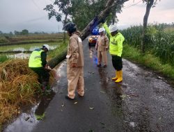 Polsek Padamara Buka Jalan Tertutup Pohon Tumbang Akibat Angin